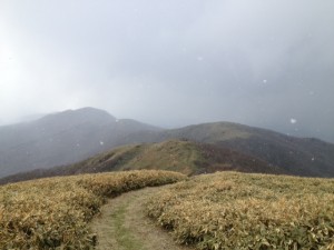 那岐-滝山
